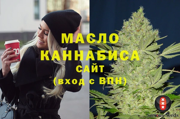 сатива Армянск